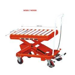 PRFX Roller conveyor top - AMARITE