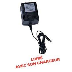 CW Crane scale 1000 to 5000 kg - AMARITE