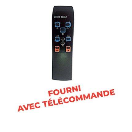 CW Crane scale 1000 to 5000 kg - AMARITE